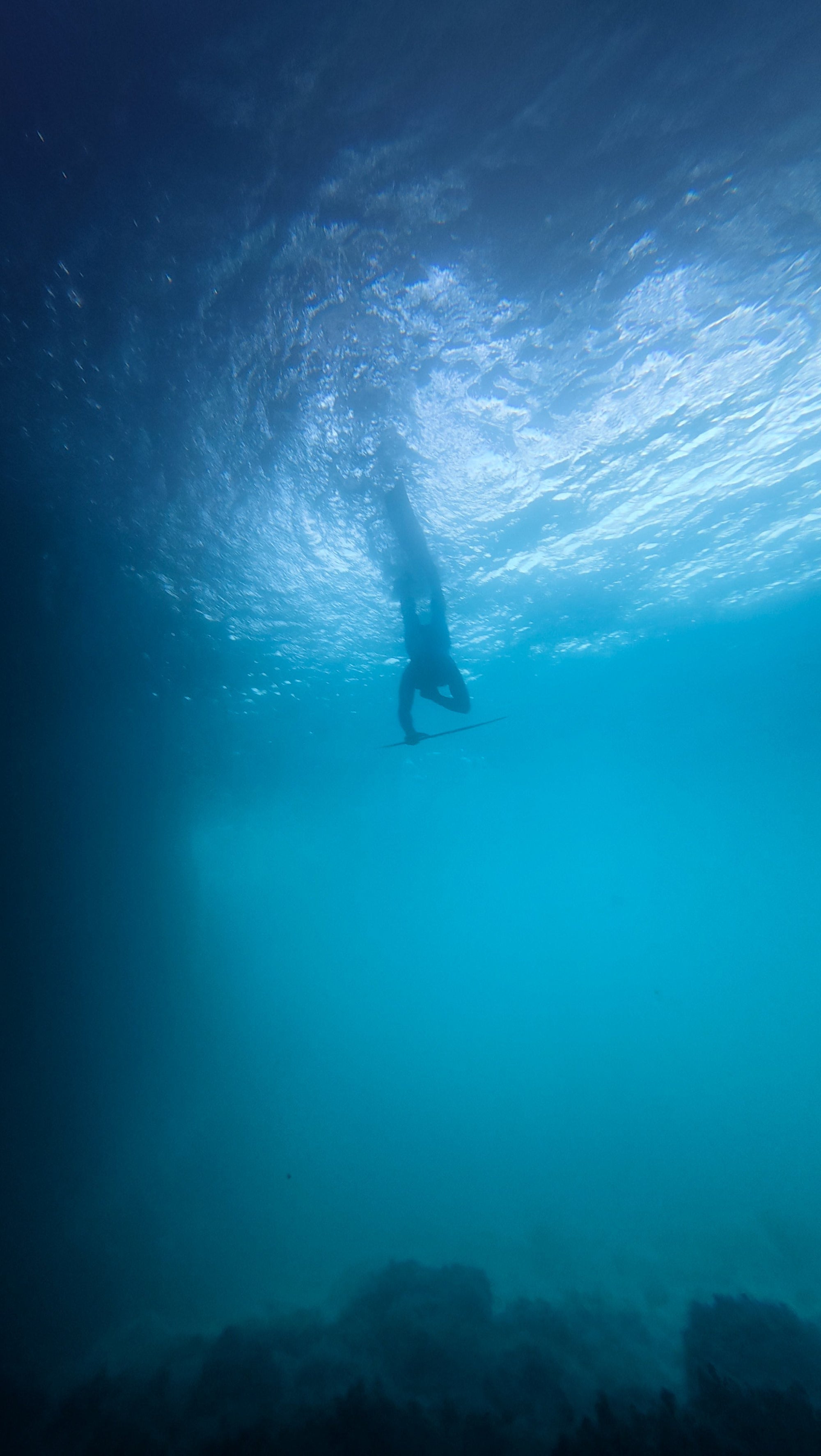 Comment prendre soin de ses oreilles sous l'eau ?