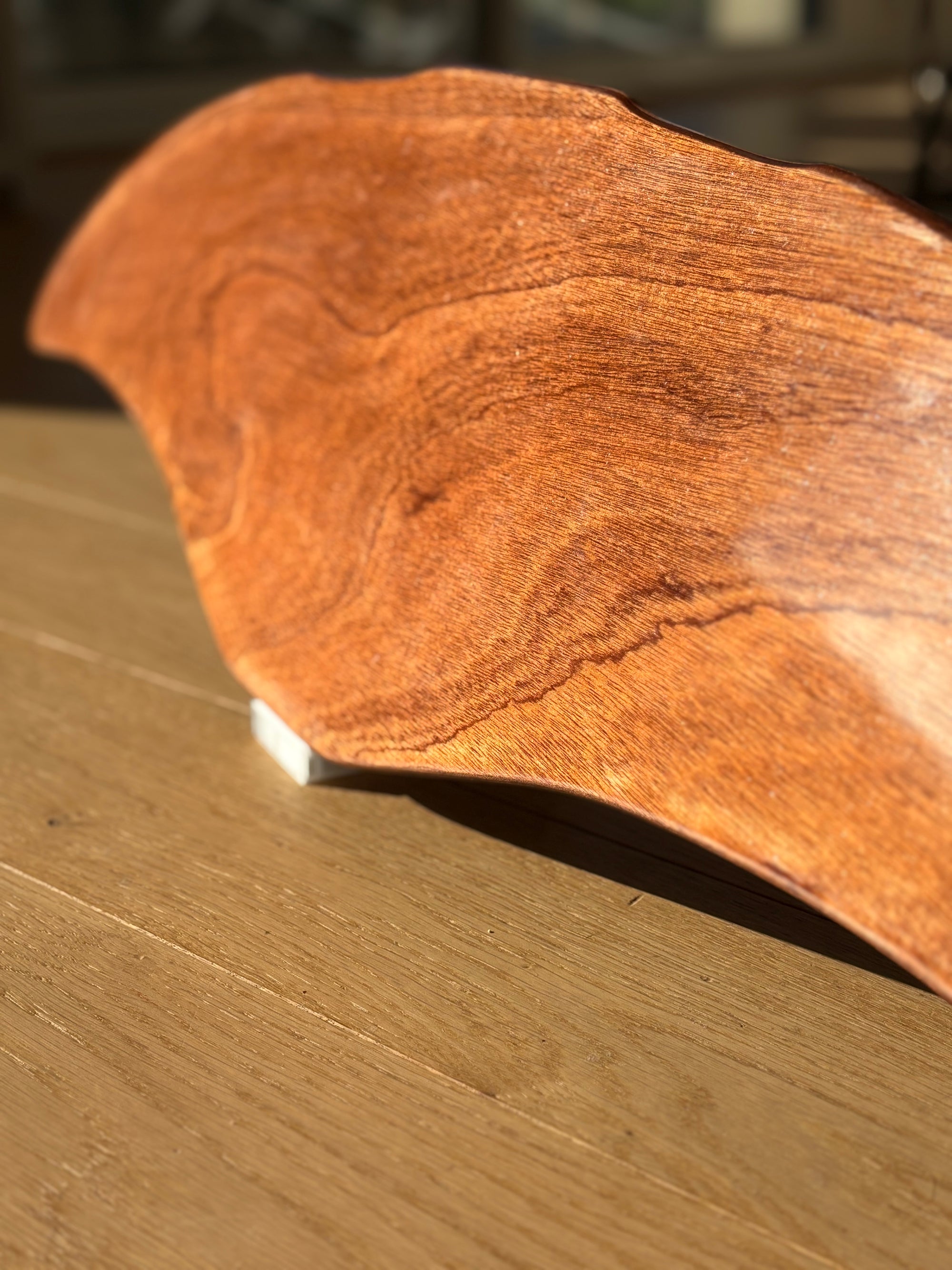 Image du DeepFoil ( ou Deep Foil) bois sur son support en impression 3D au soleil