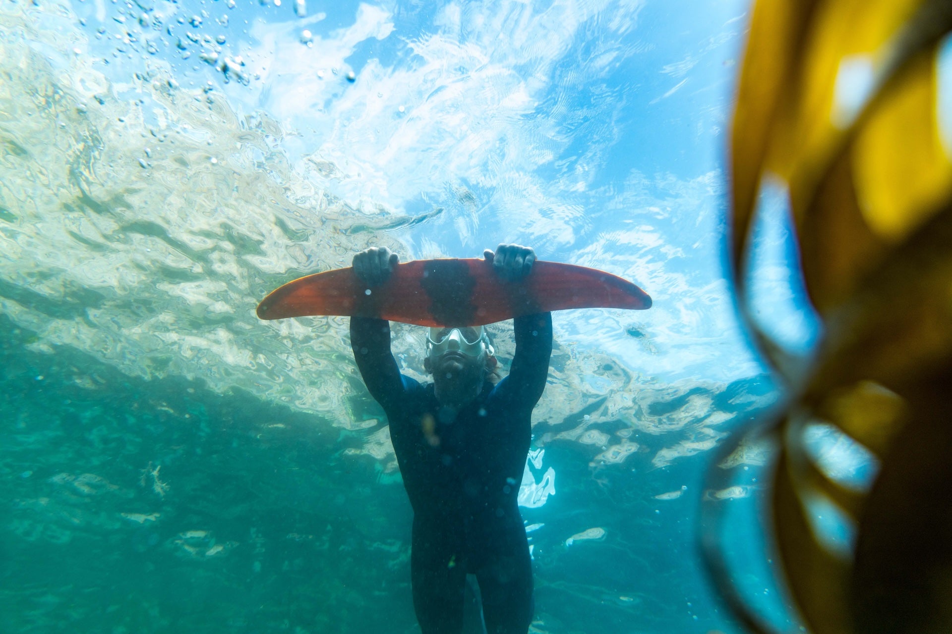 Plongée sous-marine avec un Deepfoil