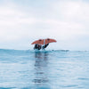 DeepFoil ◦ Vagues