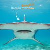 DeepFoil ◦ Aile sous-marine