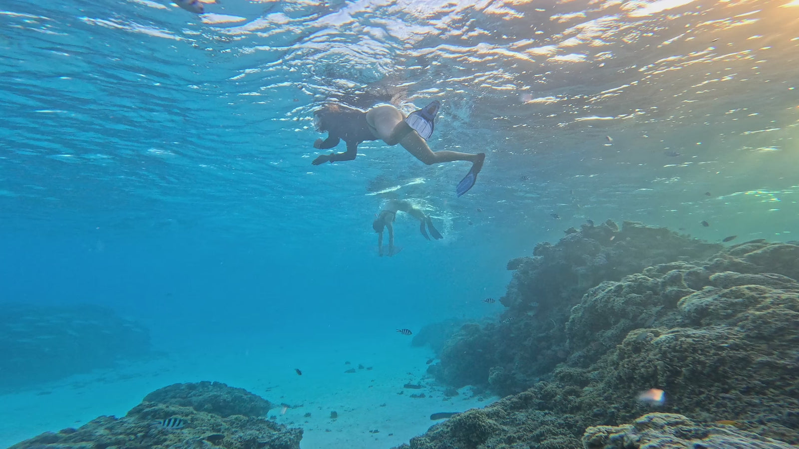 Plongeuse volant sous l'eau avec un DeepFoil au milieu des coraux et des poissons